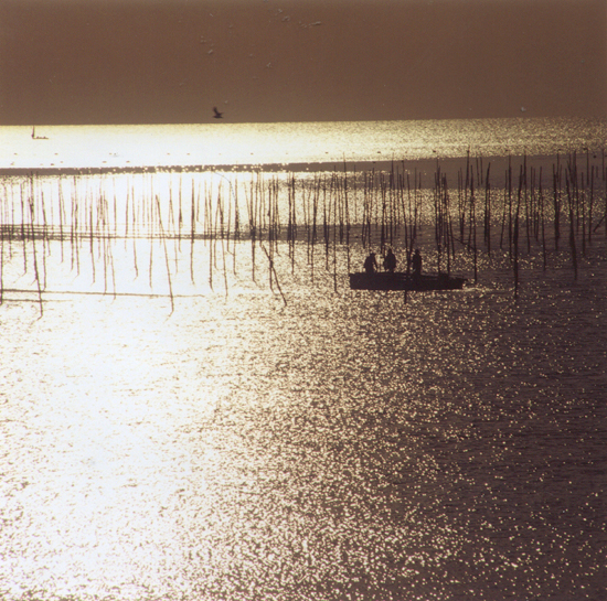 서성래 신부 사진전 10∼16일 평화화랑