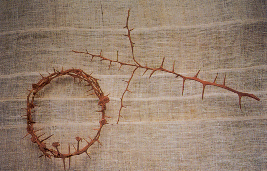 대전 가톨릭미술가회 창립 10주년