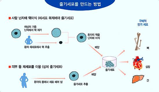 국가생명윤리심의위 복제배아 연구 조건부 승인의 문제점