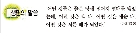 [생명의 말씀] 연중 제15주일