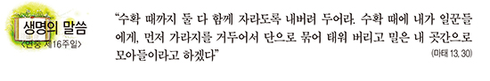 [생명의 말씀] 연중 제16주일