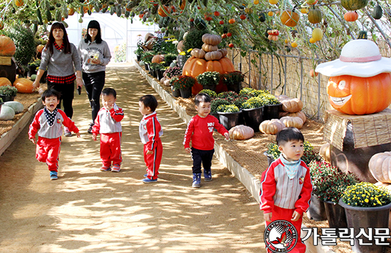 사제는 떠났지만… 그의 국화꽃 향기, 마을을 감쌌다