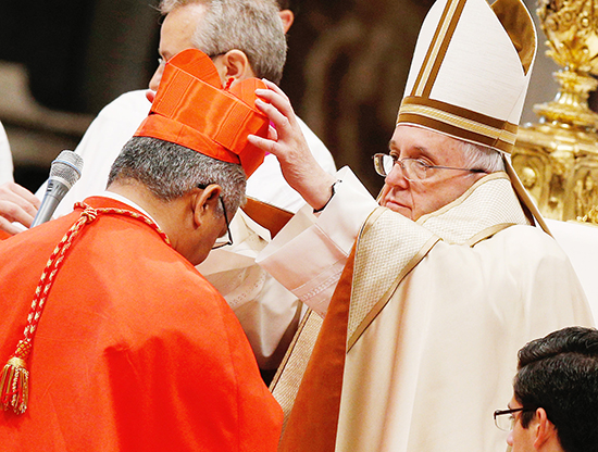 교황, 새 추기경 20명 서임… 사랑·인내·정의 당부