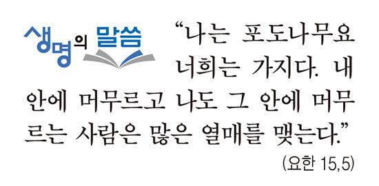 [생명의 말씀] 부활 제5주일·생명 주일
