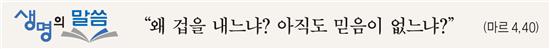 [생명의 말씀] 연중 제12주일·민족의 화해와 일치를 위한 기도의 날