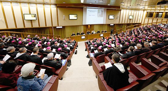 세계주교대의원회의 의안집, 어떤 내용 담았나
