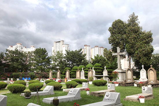 [포토에세이] 삶과 죽음