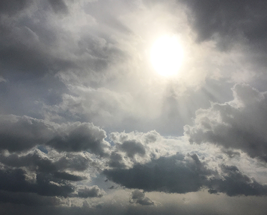 새 날 새 아침 밝히소서