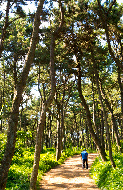 [포토에세이] 예언자
