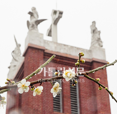 [사진] 부활의 기다림 속 봄은 다가오고