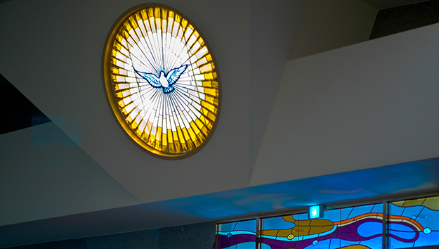 [포토에세이] 보호자