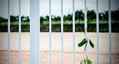 [포토에세이] 살리시는 주님