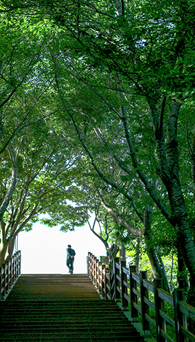 [포토에세이] 앞으로…