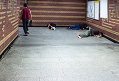 [포토에세이] 이웃