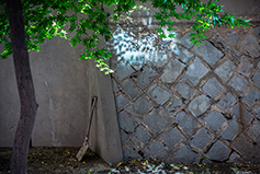 [포토에세이] 충실한 종