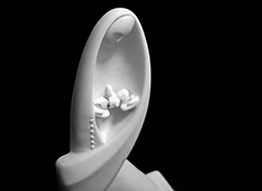 [포토에세이] 복되신 분