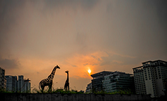 [포토에세이] 되찾은 기쁨