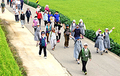 대전교구, 제17차 내포 성지 순례
