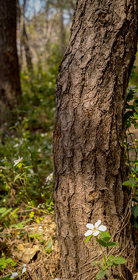 [포토에세이] 믿음과 섬김