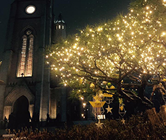 서울 명동성당 구유 