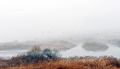 [포토에세이] 지금은 희미할지라도