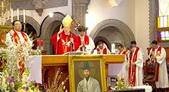 대구대교구 제2주보성인 이윤일 순교 150주년 기념 행사 종합