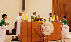 성서백주간 한국 도입 25주년 기념미사 봉헌