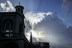 [포토에세이] 성모님의 전구