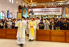 가톨릭농민회, 땅과 생명 살려온 반세기