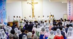 대구대교구 경주 안강본당 설립 50주년 미사