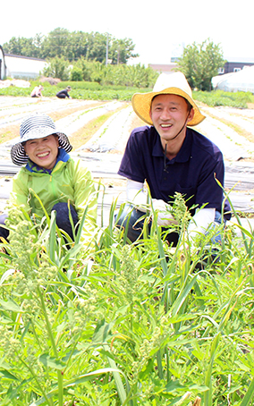 서울대교구 우리농, 경기 양평에서 일손돕기