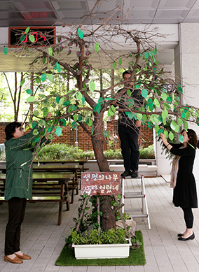 서울 문래동본당, 생명의 나무 기도운동