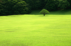 [포토에세이] 초록 쉼터
