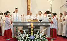 대전교구 삽교본당 50주년