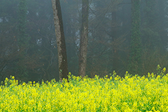 [포토에세이] 그 자리에 서서