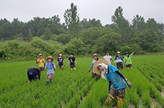 서울 가톨릭대학생연, 여름생태농촌공소활동