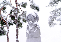 [포토에세이] 대구 성모당 설경