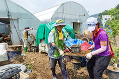 청주교구 수해복구 종합