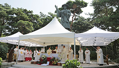 서울 서교동본당 50주년