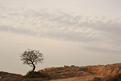 [포토에세이] 하느님의 백성