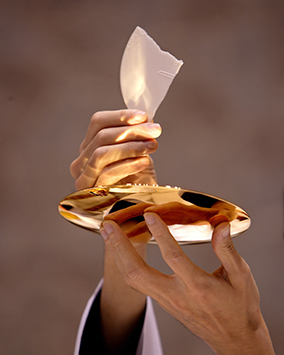 [포토에세이] 생명의 양식