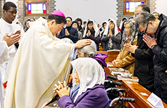 대구대교구, 교구 제1주보 루르드의 복되신 동정 마리아 대축일 미사 봉헌