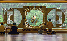 지존하신 성체 앞에 무릎 꿇고 기도합니다