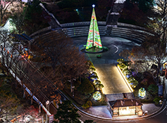 서강대 ‘화해의 다리’ 주제 성탄 구유·미디어 아트 ‘눈길’