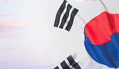 3·1운동 100주년, 교구별 기념행사 종합