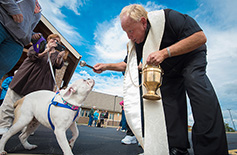 반려동물의 장례, 어떻게 바라봐야 할까?