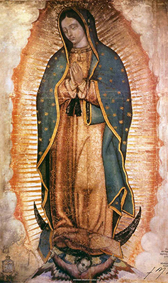 과달루페 성모님, 낙태 위험에 처한 태아를 지켜주소서