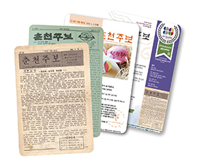 춘천주보 제2000호 발행… 특집 3회 연재